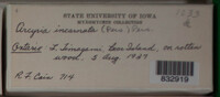 Image Associated With the Occurence
